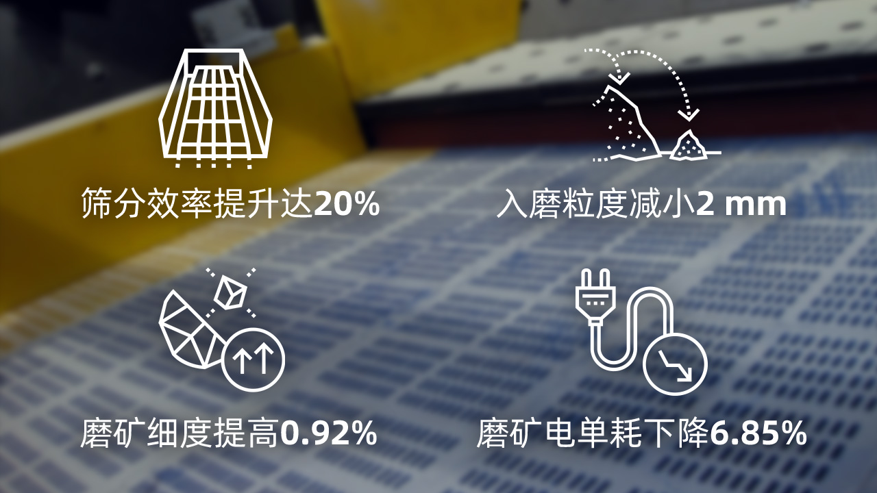 1775700944561928.jpg 20260325-02图标 金凤矿业.jpg